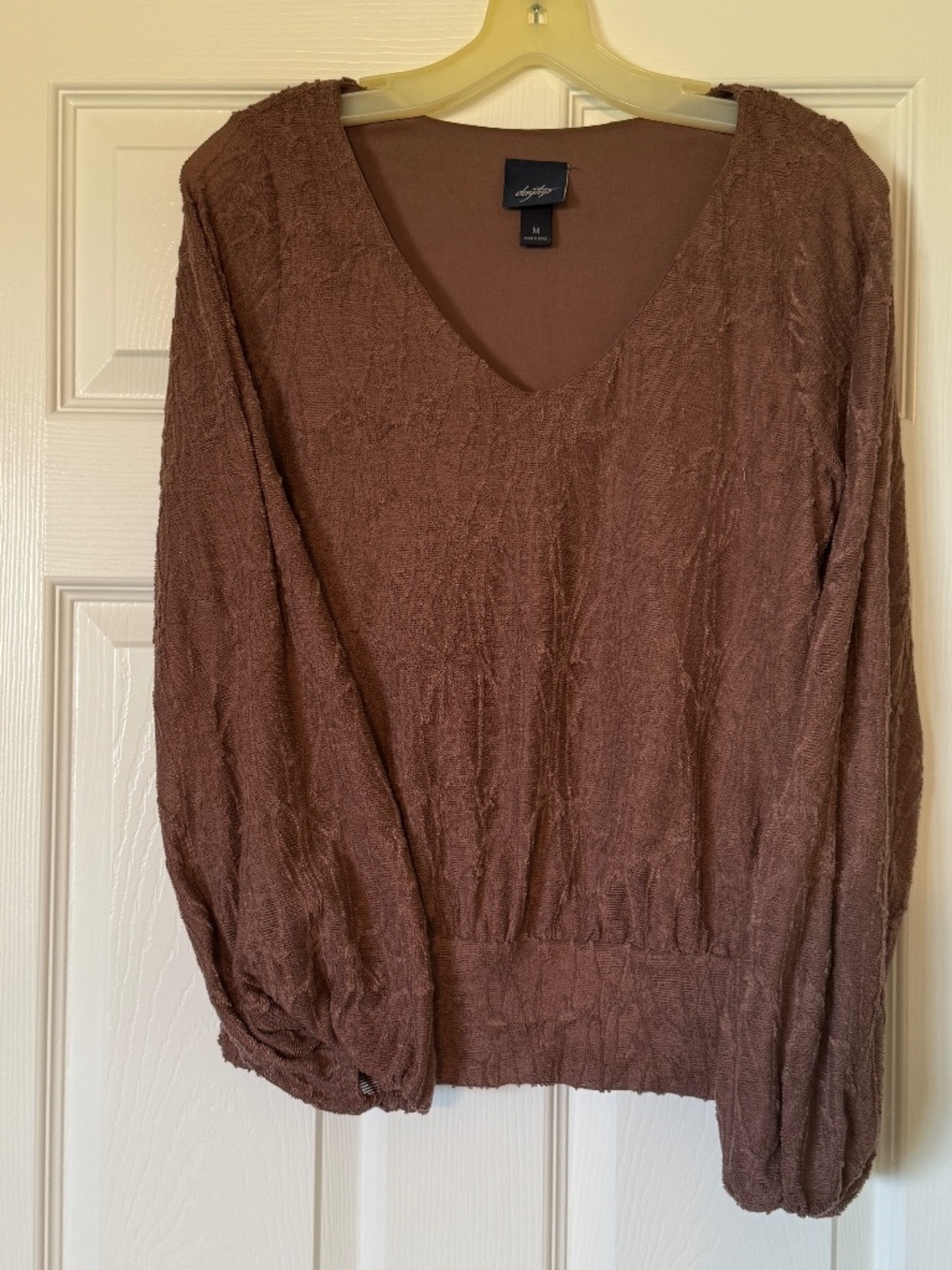 Buckle Daytrip long sleeve mesh metallic tinsel blouse vneck size medium ladies